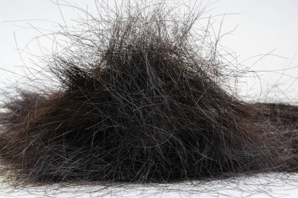 istock black hair on white background 1467517527