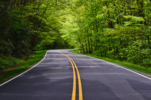 winding road vanishing into the distance