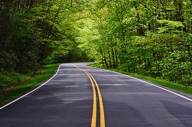 winding road stock photo