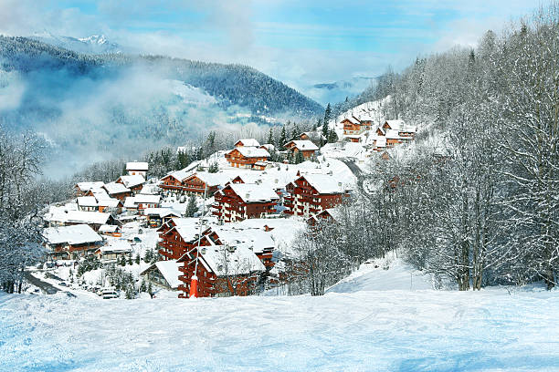 Wooden cottages in the forest covered by snow