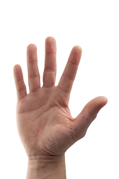 istock young hand in business shirt high five 146752095