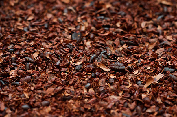 Crushed, roasted cocoa beans with husk stock photo
