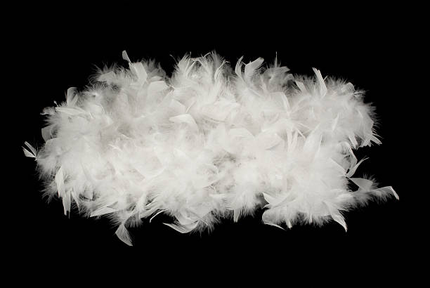 white feathers This is a white feathers boa over a black background. boa stock pictures, royalty-free photos & images