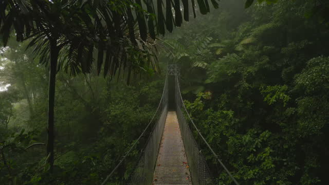 Backwards moving on footbridge on tourist trail over gorge in tropical forest. La Fortuna, Costa Rica