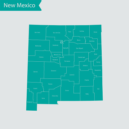 vector of the  New Mexico map