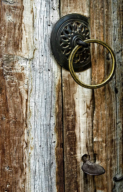 istock Wooden door 146753103