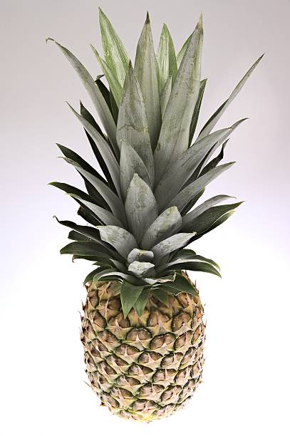 pineapple #1 stock photo