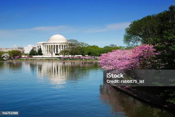 Washington Dc - Fotografias de stock e mais imagens de EUA - EUA, Patriotismo, Primavera - Estação do ano