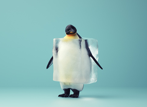 Penguin inside an ice cube . This is a 3d render illustration.