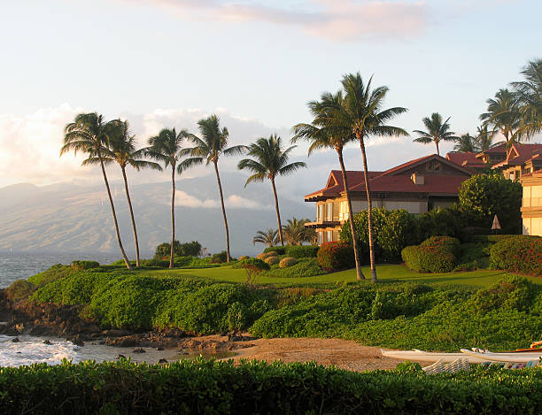 Hawaiian Beachfront Property Palm trees line the coast of a Hawaiian vacation resort by a beach on the island Maui. hawaii islands stock pictures, royalty-free photos & images