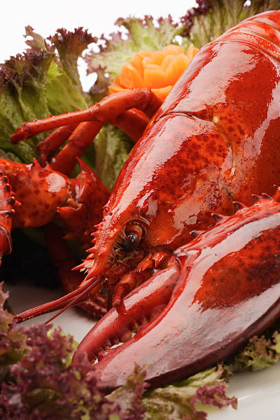 Red Lobster stock photo