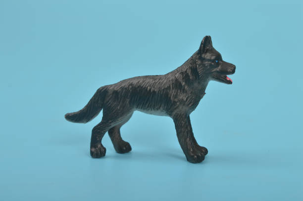 istock Black toy dog isolated on a blue background 1467539271