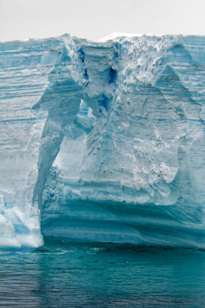 istock Antartica - Tabular Iceberg in Bransfield Strait 1467539883