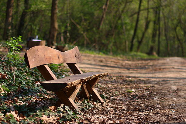 Bench made from raw wood collected right from the forest