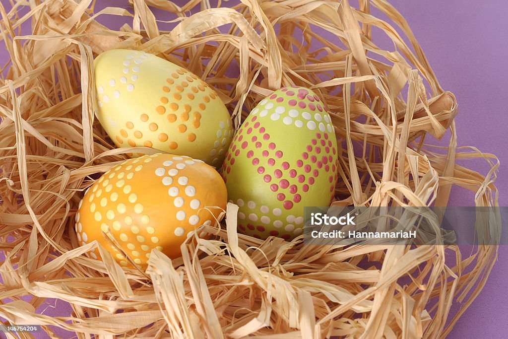 Easter eggs Decorated Easter eggs. Animal Nest Stock Photo