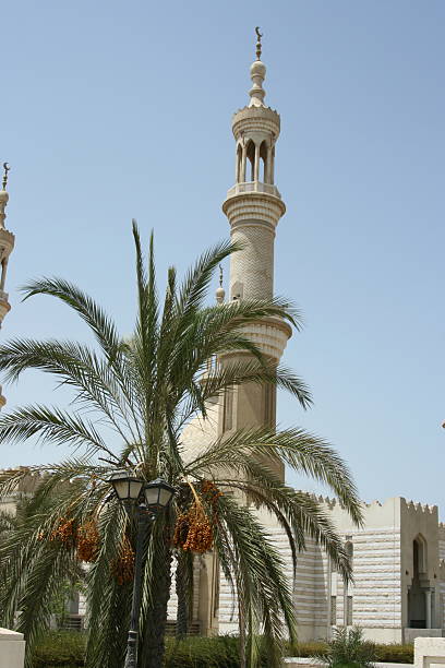 Mesquita - foto de acervo