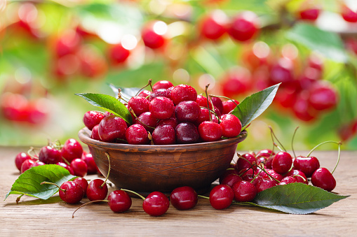 bowl of fresh cherries on a wooden table in a garden