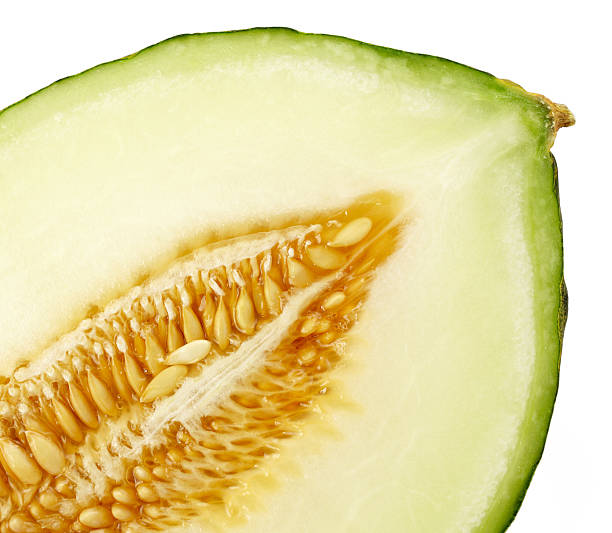 Cantaloupe melon stock photo