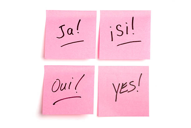 istock Four pink postits in European languages 146754589