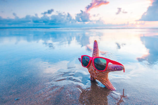 istock Starfish in sunglasses on beach 1467547938