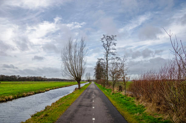 istock Bicycle road in the polder 1467551334