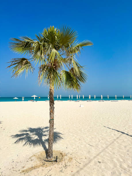 istock Soul beach in Abu Dhabi, United Arab Emirates 1467554082