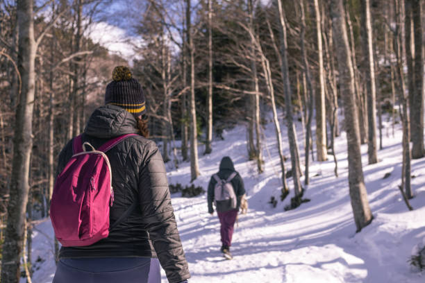 istock Taking a hike on a sunny day in a snowy forest 1467557325
