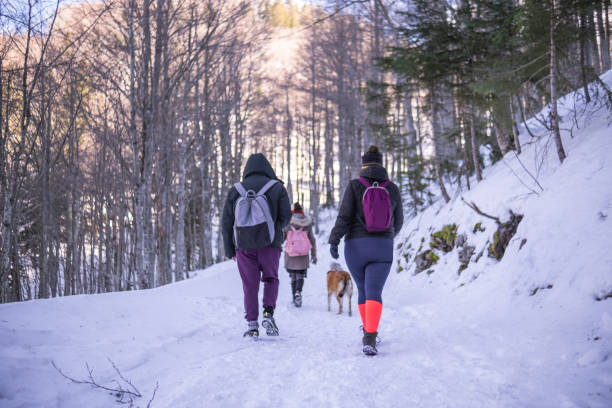 istock Taking a hike on a sunny day in a snowy forest 1467557352
