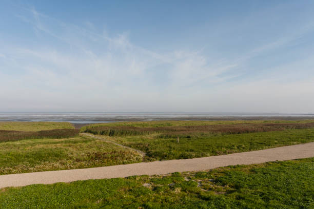 istock Kust in Westhoek, Coast at Westhoek 1467558039