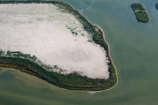 istock Kunstmatig eiland Kreupel, Artificial island Kreupel 1467558091