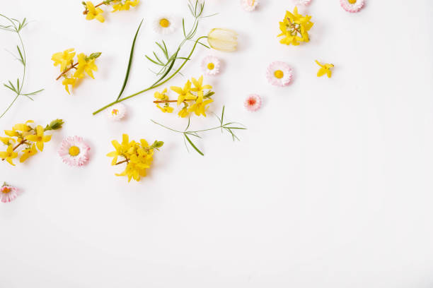 istock Floral pattern with wildflowers, green leaves, branch on white background. Flat lay 1467558256