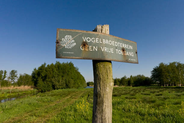 istock Vogelbroedterrein, Bird Breeding Ground 1467559599