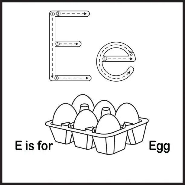 Vector illustration of Flashcard letter E is for egg vector Illustration