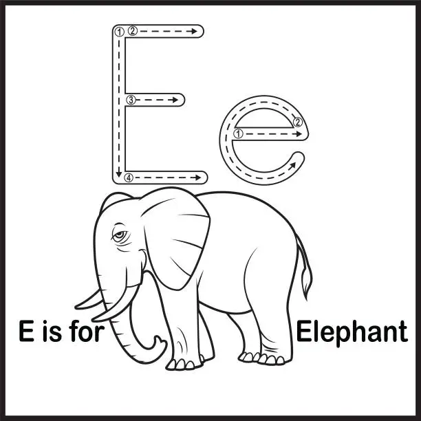 Vector illustration of Flashcard letter E is for Elephant vector Illustration