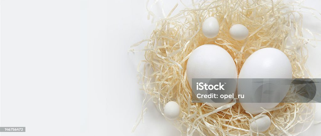 nest with eggs on the right side small and big eggs in the nest on the white background. Animal Egg Stock Photo