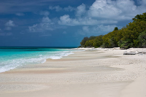 Bikini Atoll Beach Bikini Atoll Beach, Marshall Islands, looking Northwest. bikini atoll stock pictures, royalty-free photos & images