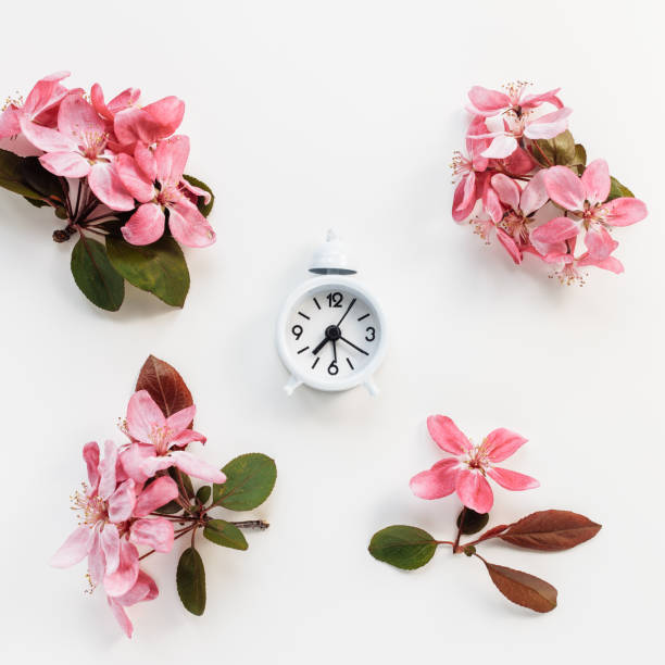 Spring Forward Small 20+ Spring Forward Home Stock Photos, Pictures & Royalty-Free Images ...