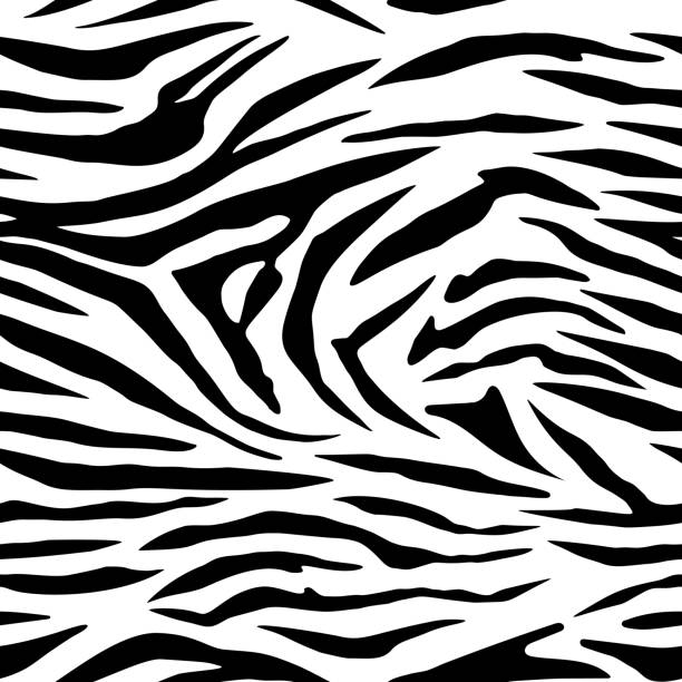 istock Black and white seamless background of a zebra fur with colour variations 1467565949