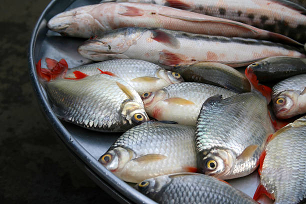 Fish to Market stock photo