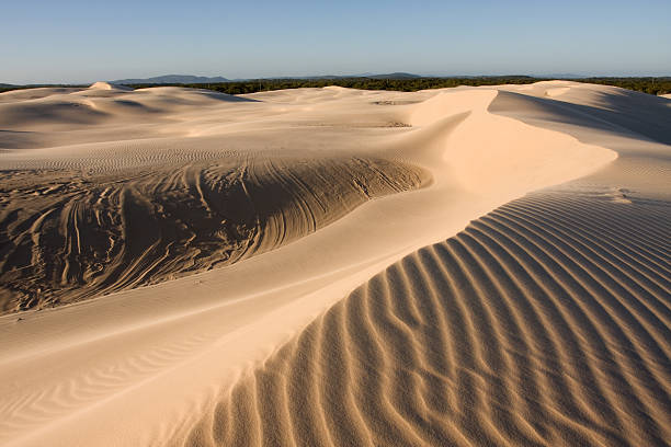 Sand dunes stock photo