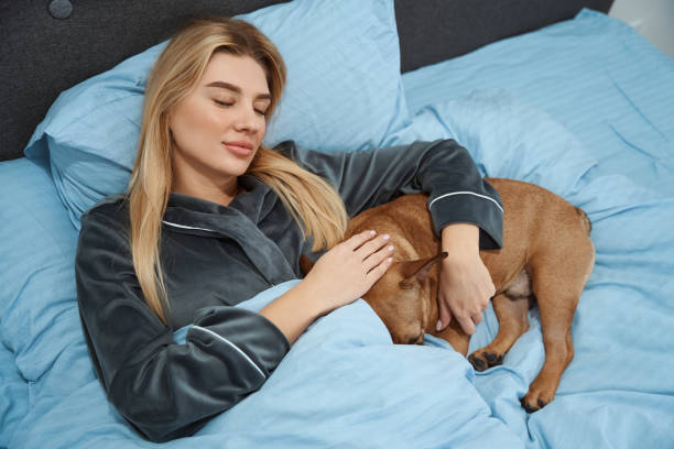 serene woman dozing off with her dog in bedroom - bedroom authority bed contemporary imagens e fotografias de stock