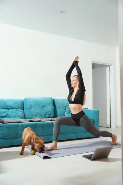 Joyous fit female doing lunge with arm raise on yoga mat in presence of her pet