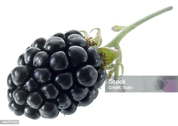 Foto de Blackberry e mais fotos de stock de Alimentação Saudável - Alimentação Saudável, Amora-preta, Ampliação