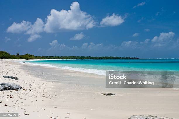 Bikini Atoll Beach Stock Photo - Download Image Now - Bikini Atoll, Marshall Islands, Beach