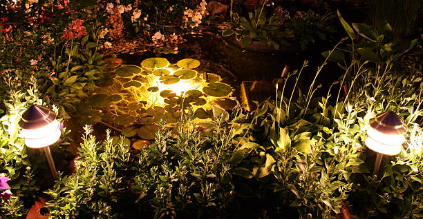 nacht szene-teich - ornamental garden flower bed night illuminated stock-fotos und bilder