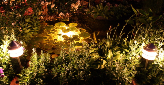 8 second time lapse of pond at night