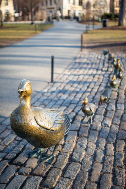 los famosos monumentos del jardín público de boston - boston common fotografías e imágenes de stock