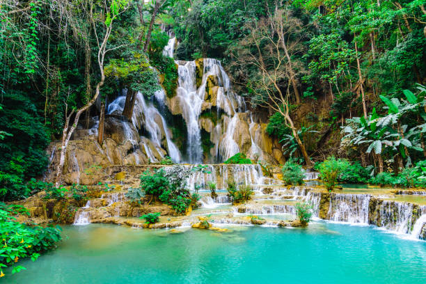 Kuang si water fall famous destination in Luang prabang, Laos.