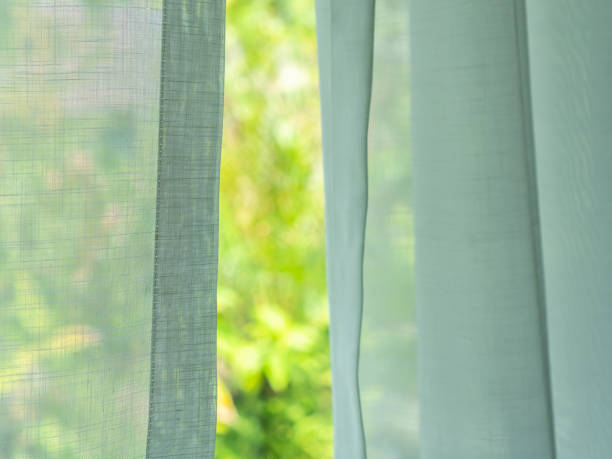 istock Green color curtain with window tree garden view background. 1467576460