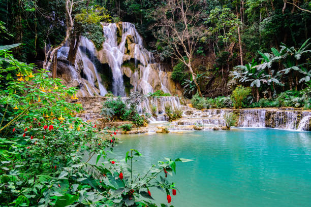 istock Kuang si water fall famous destination in Luang prabang, Laos. 1467578155